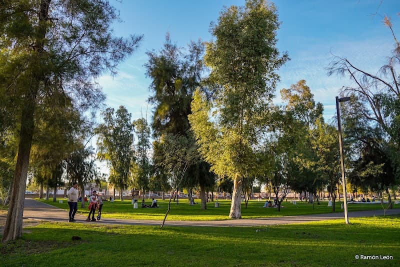 Bosque de la Ciudad!, S.L.R.C. San Luis Río Colorado photo