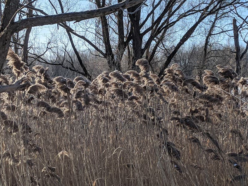 Bosse Spa and Style Sudbury photo