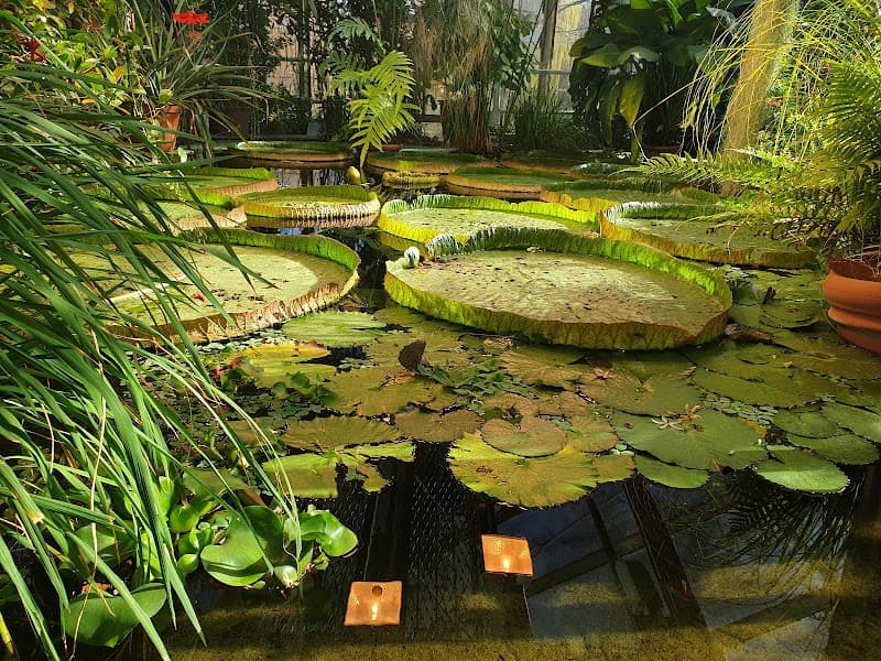 Botanical Garden Spa & Beauty Oslo photo