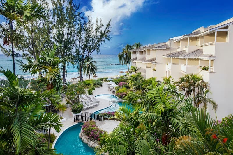 Bougainvillea Barbados photo