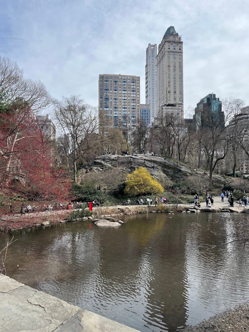 Briarwood Wellness Center New York photo