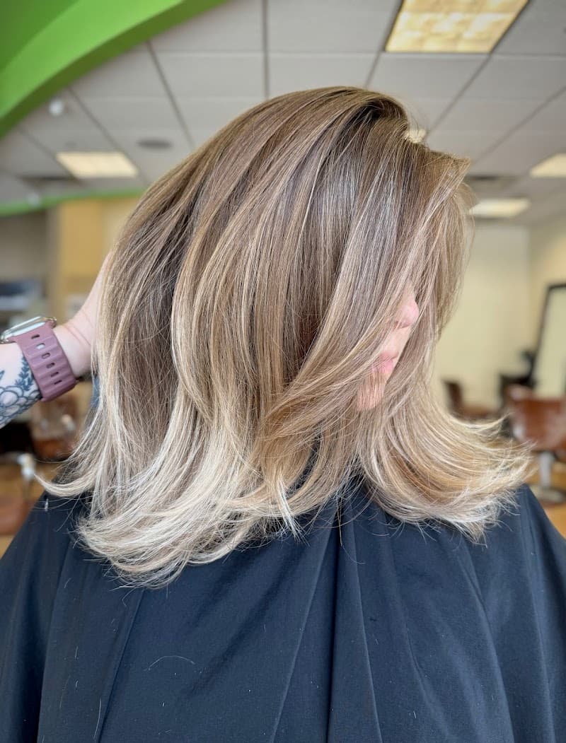 Brieshi Salon & Spa Rogers photo