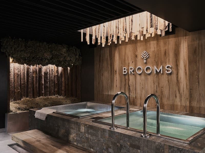 Saint Petersburg brooms_spa photo