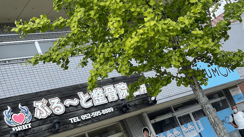 Brute Seitaiin, Acupuncture & Orthopedic Clinic Nishi Ward, Nagoya photo