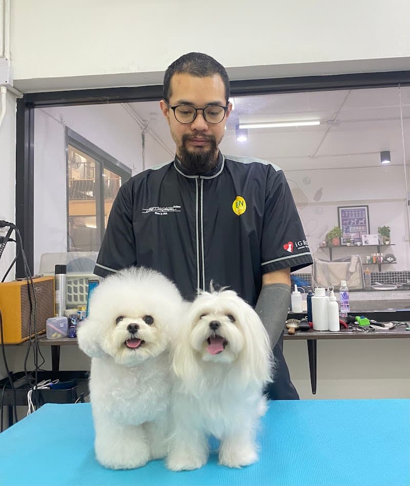 Bubble Pet Spa Poria-Kfar Avoda photo