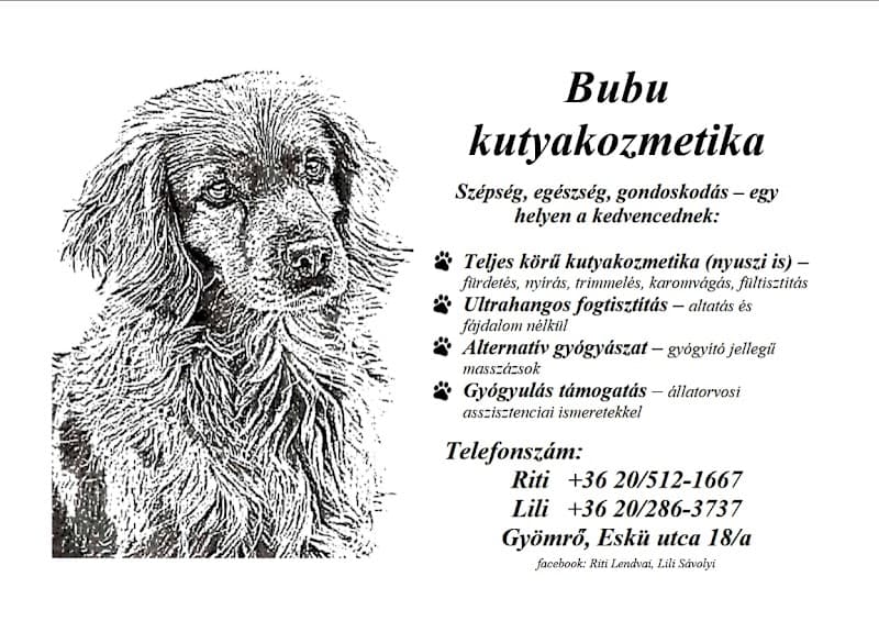 Bubu kutyakozmetika és - masszázs Gyömrő photo