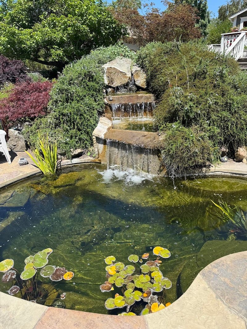 Buck Hollow Massage Sebastopol photo