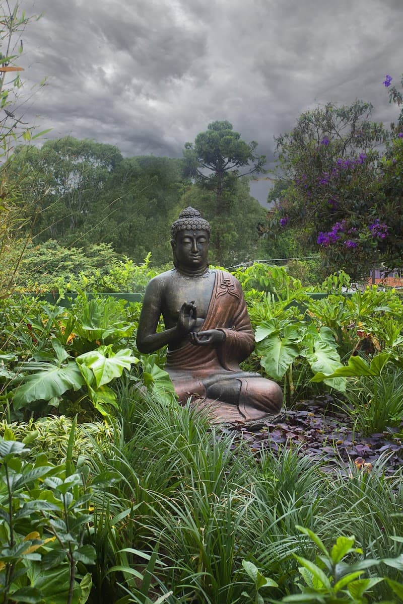 Buddha Spa Alto da Lapa São Paulo photo