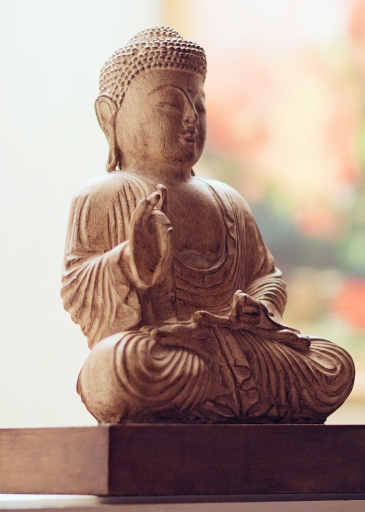 Buddha Spa Campinas Alphaville photo