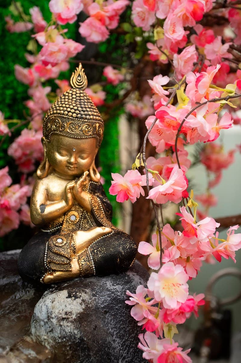 Buddha Spa Vila Clementino São Paulo photo