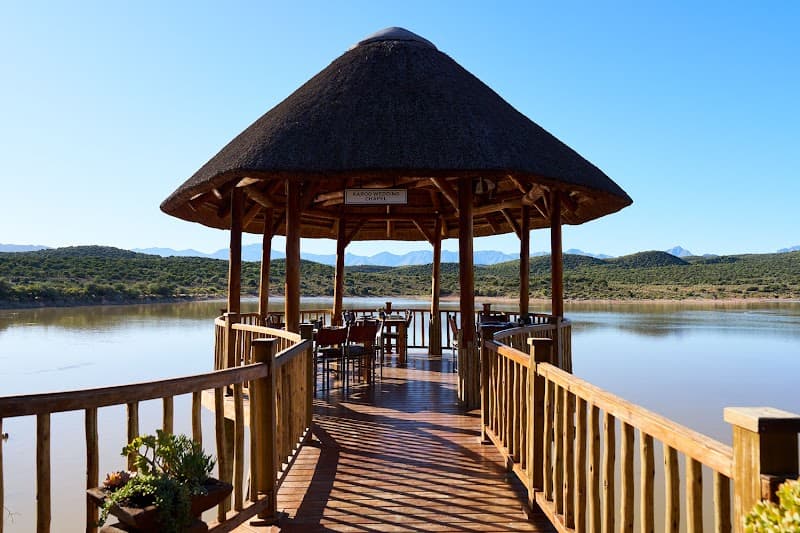 Buffelsdrift Game Lodge Garden Route photo