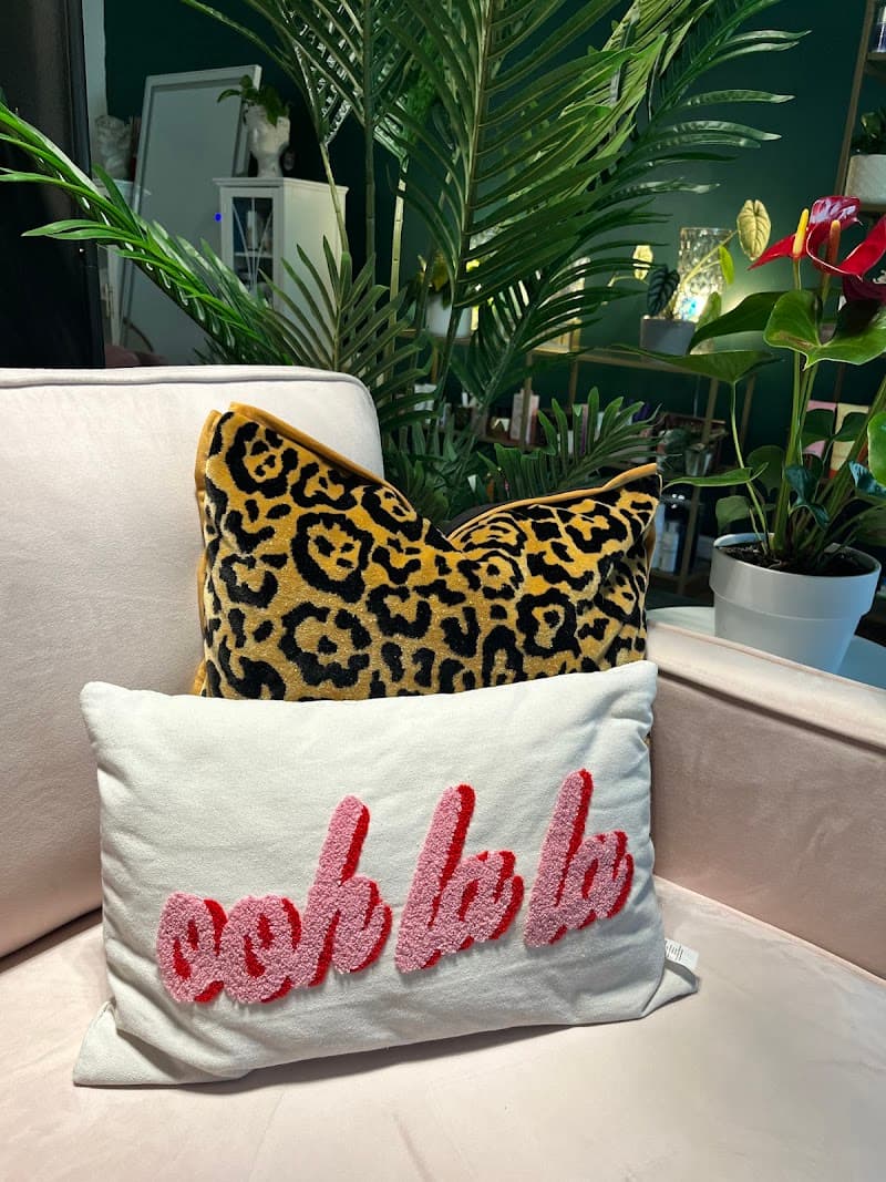 Bungalow Five beauty Santa Rosa photo