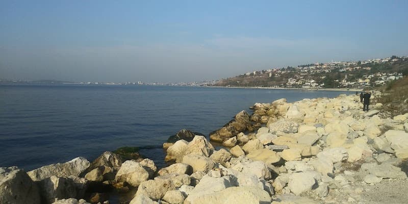 Sultangazi büyüçekmece gürpınar photo