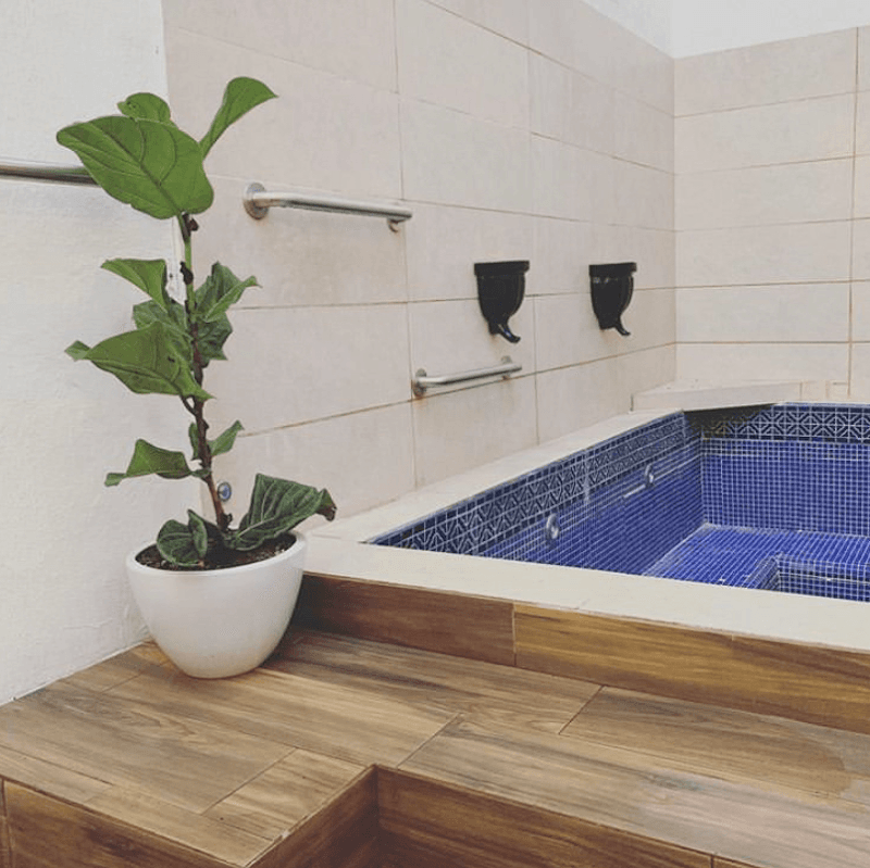 C Danu urban spa Zapopan photo