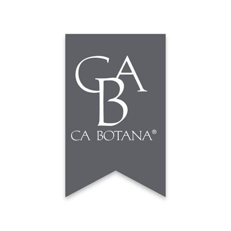 CA Botana Miguel Hidalgo photo