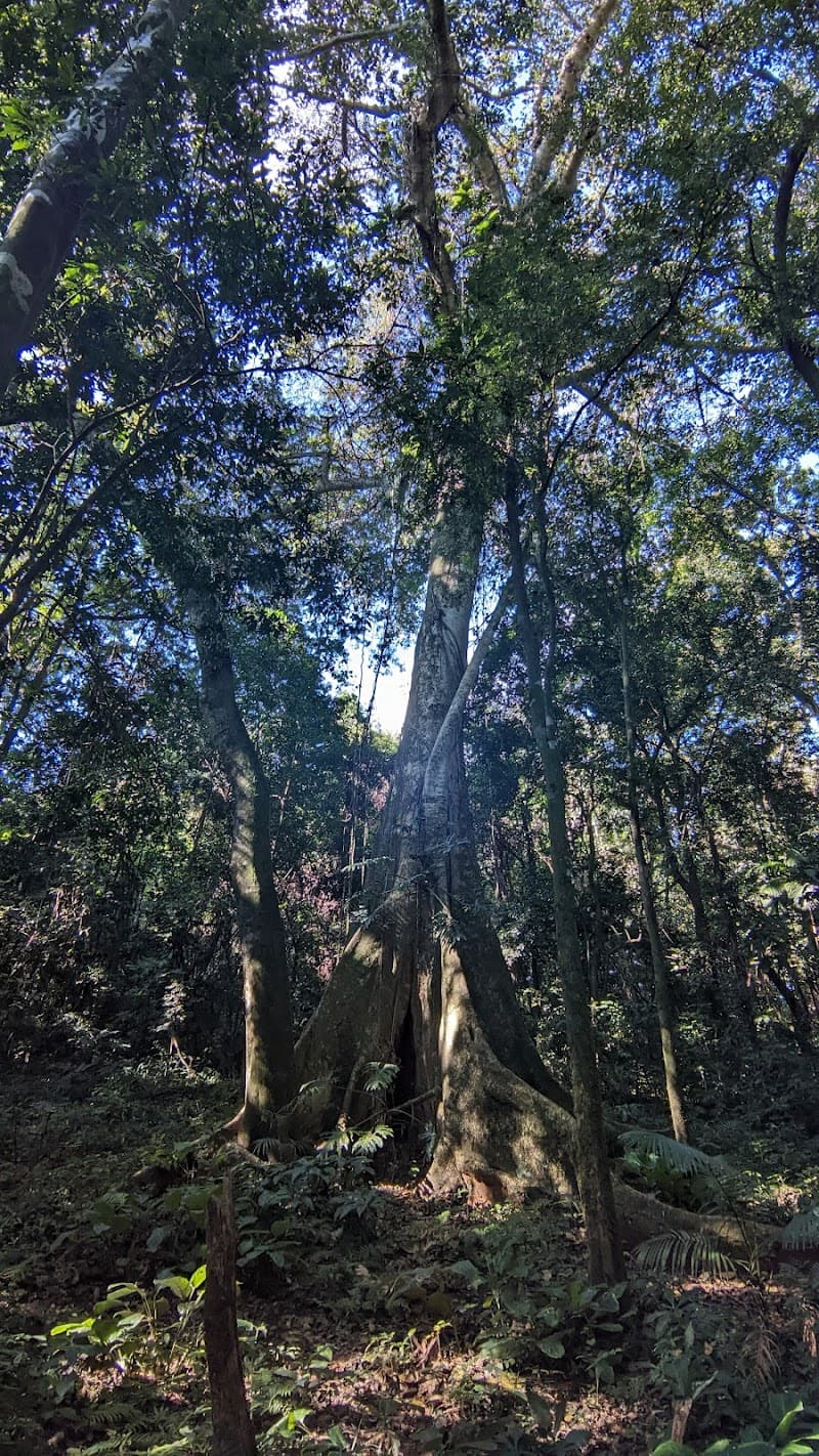 Cabana das Figueiras Rolândia photo