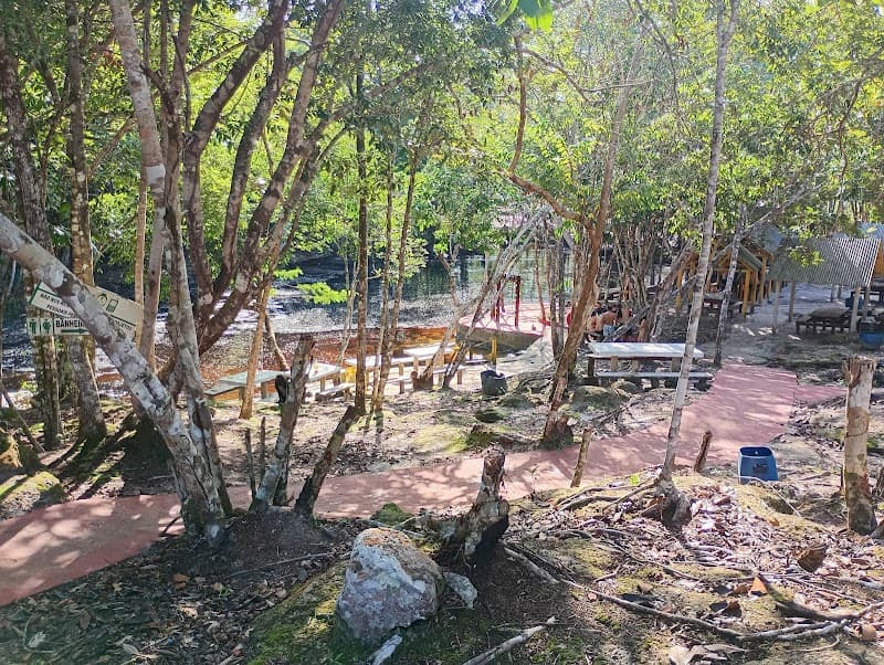 Cachoeira dos Passaros Manaus photo