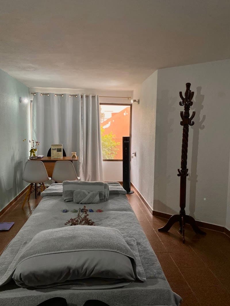 Calathea San Luis Potosí photo