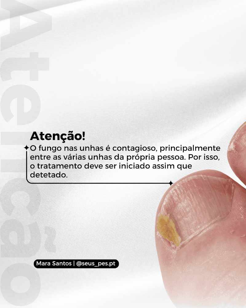 Calista - Malveira da serra - Cascais photo