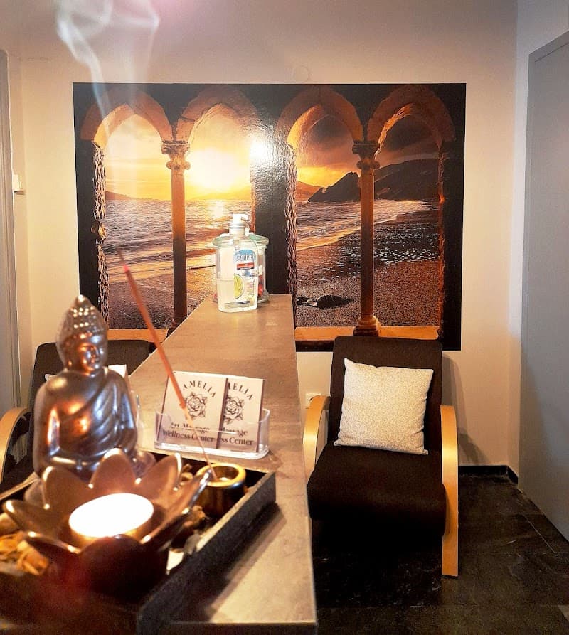 Camelia Art Massage Wellness Center Mytilene photo