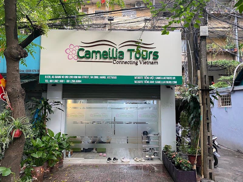 Camellia Việt Nam Quận Cầu Giấy photo