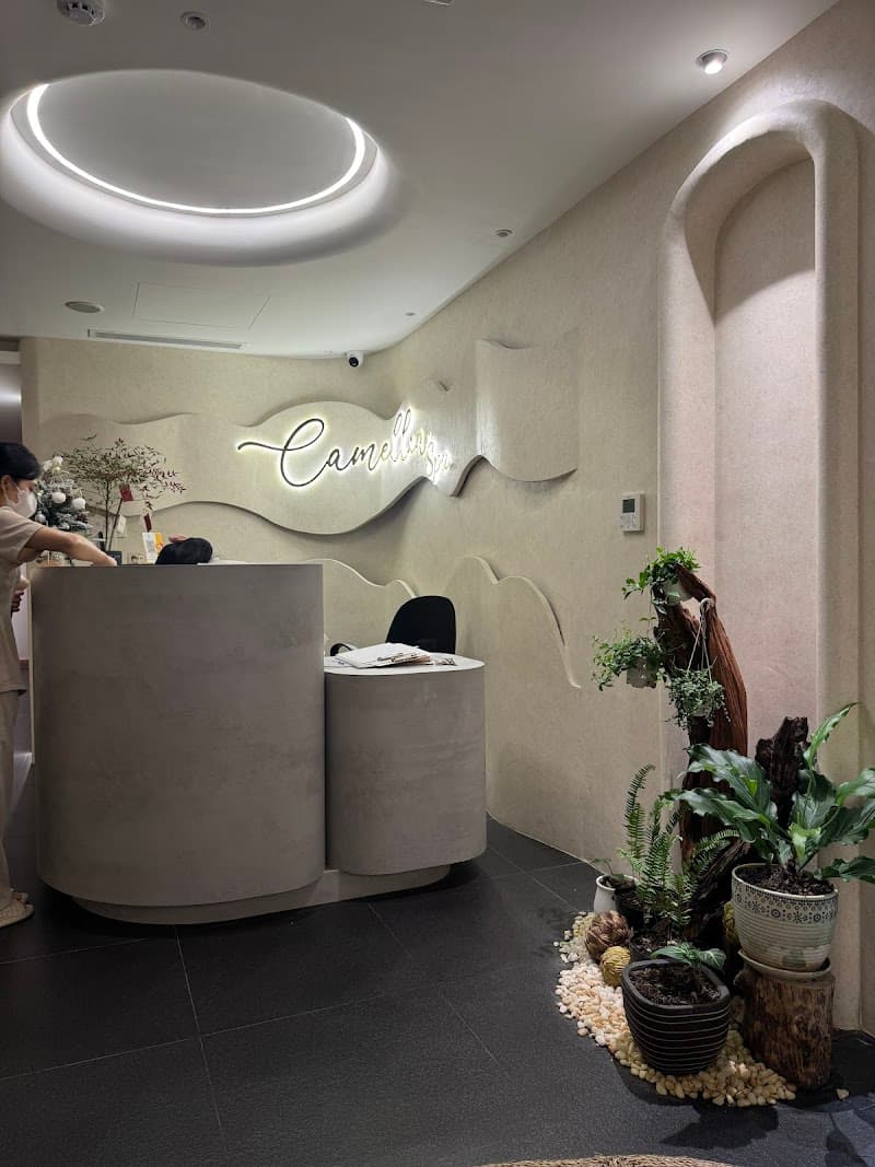 Camelliaspa Quận Cầu Giấy photo
