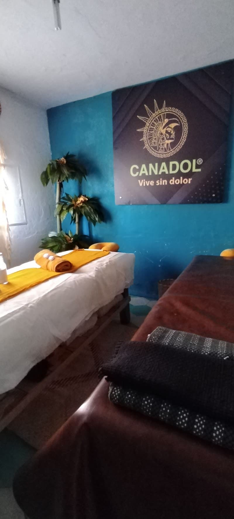 Canadol Guadalajara photo