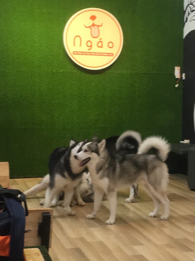 Cánh Đồng Xanh Spa Mamababy Care Quận Ninh Kiều photo