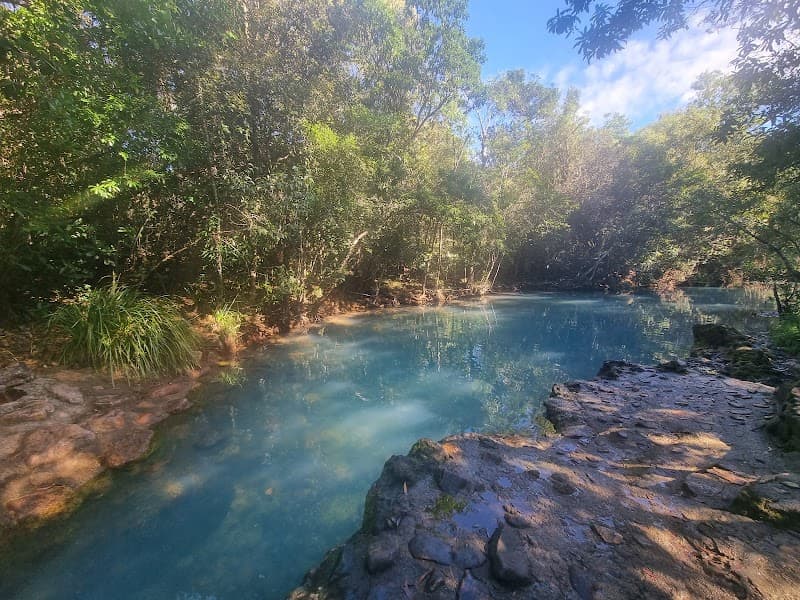 Cardwell's Natural Fed Spa Pool and Swimming Hole photo