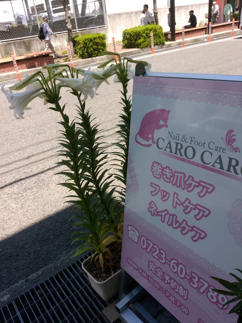 CARO CARO Osakasayama City photo