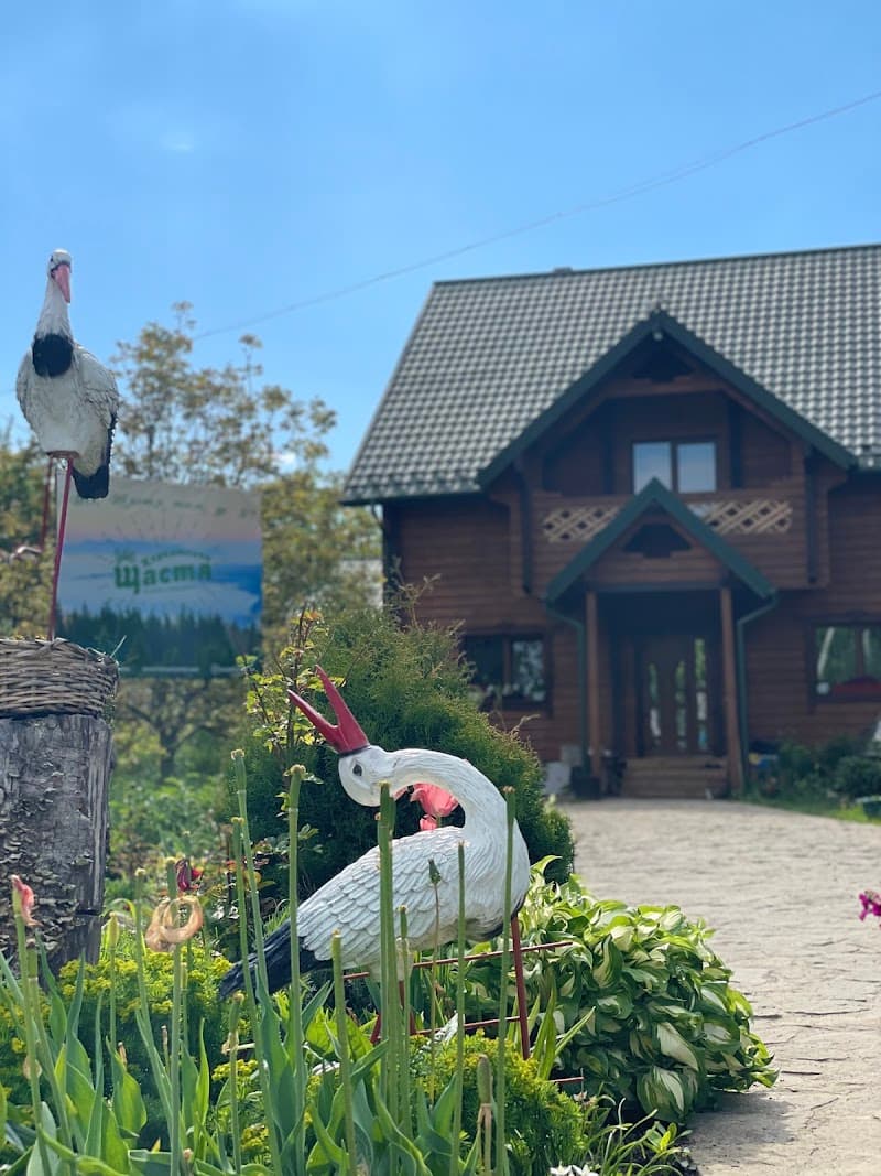 Carpathian Happiness | Chan | Sauna | Pool Verkhovyna Raion photo