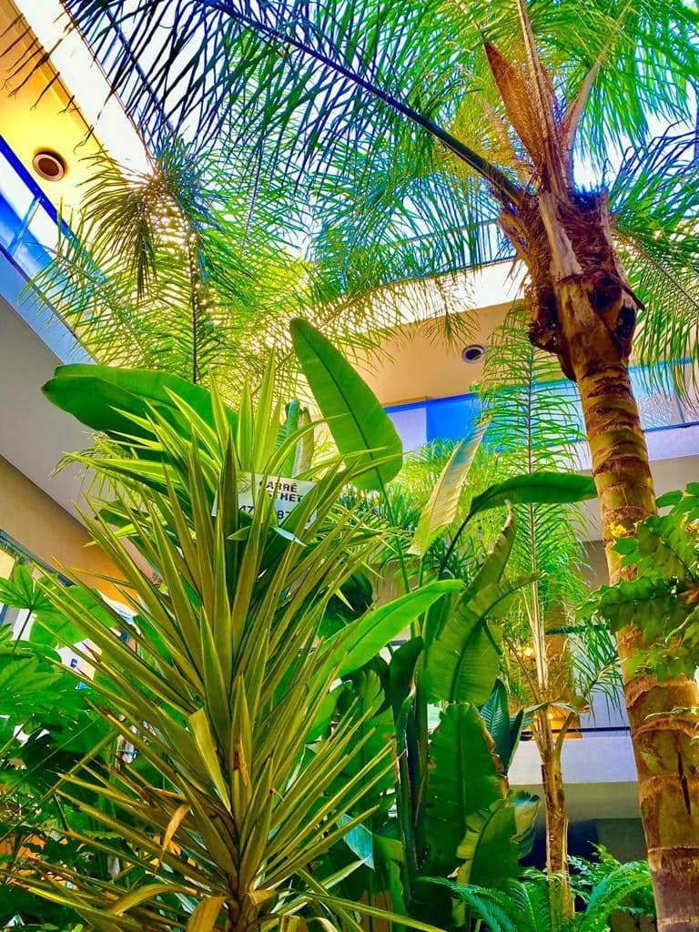 Carre esthetic - Médecine esthétique Hyères photo