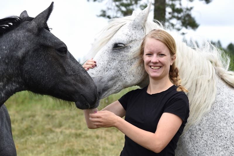 Carros hälsa och häst. Söderköping photo
