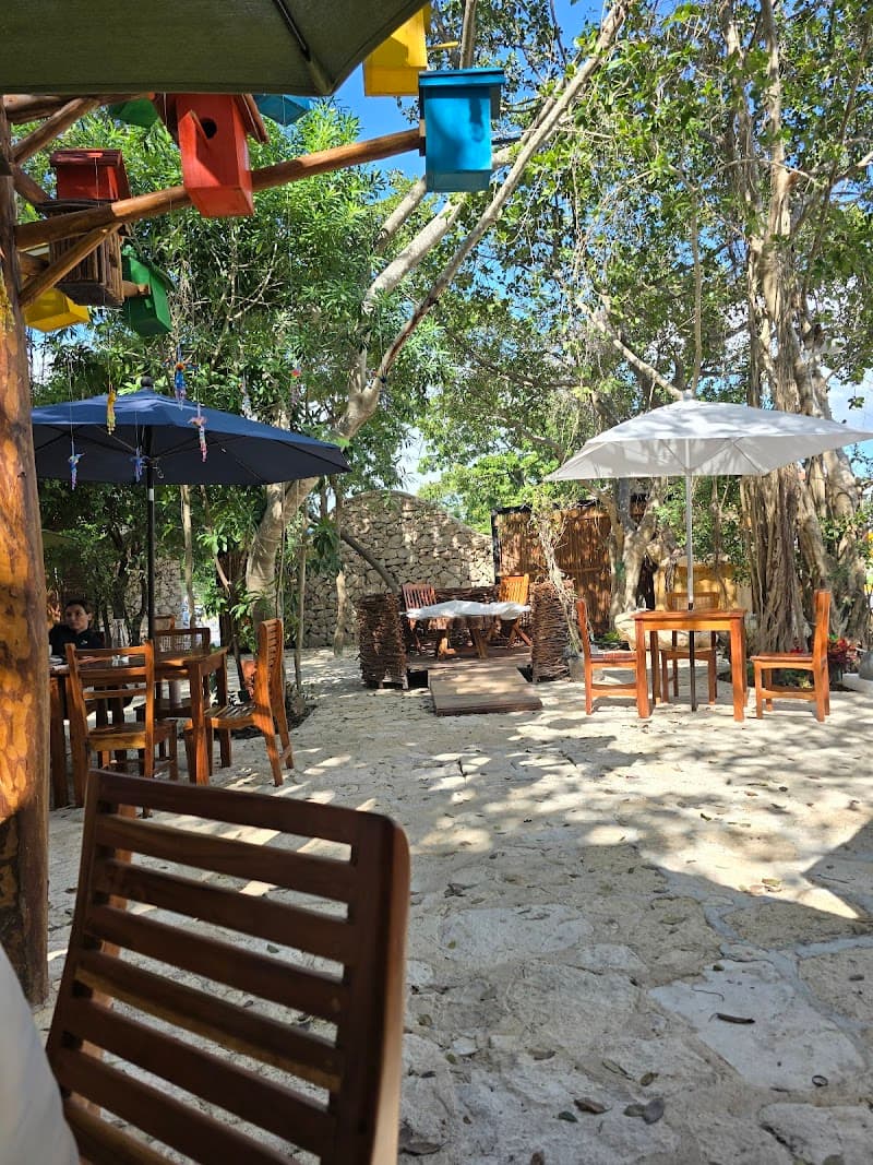 Casa de Aves Playa del Carmen photo