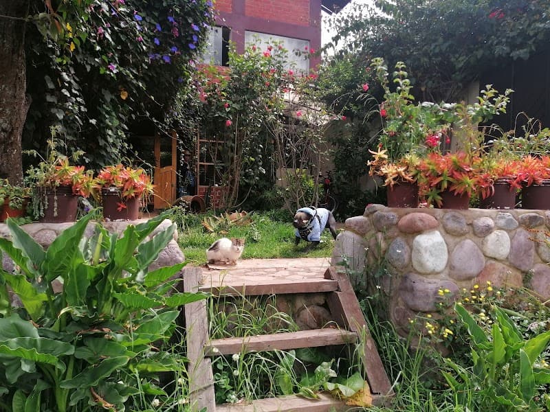 Casa Jazmín Homestay, Sacred Valley, Huayoccari photo