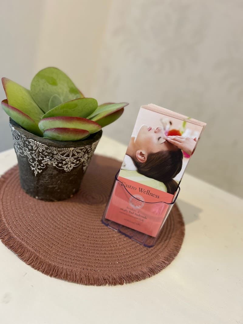 Castro Wellness Quedlinburg photo