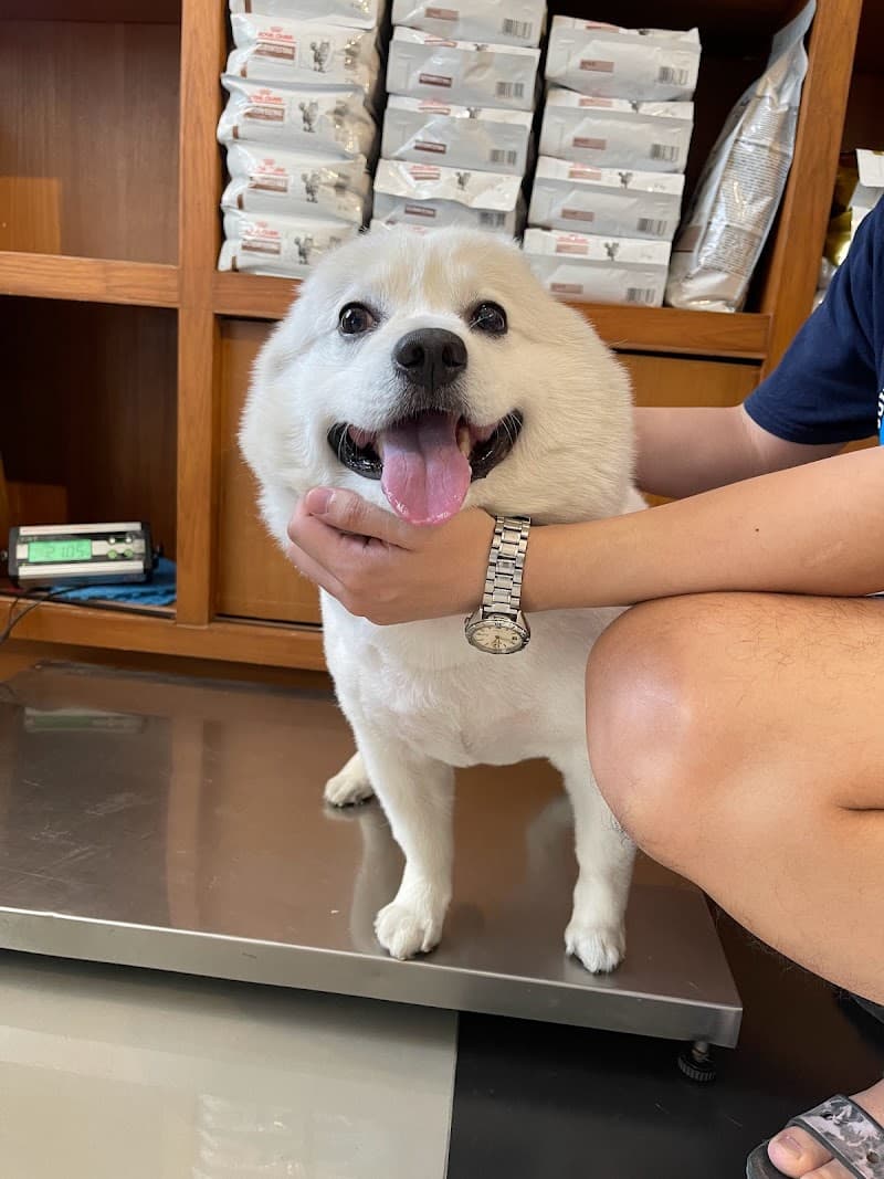 Cat Health Massage Shop Sikhon Phum photo