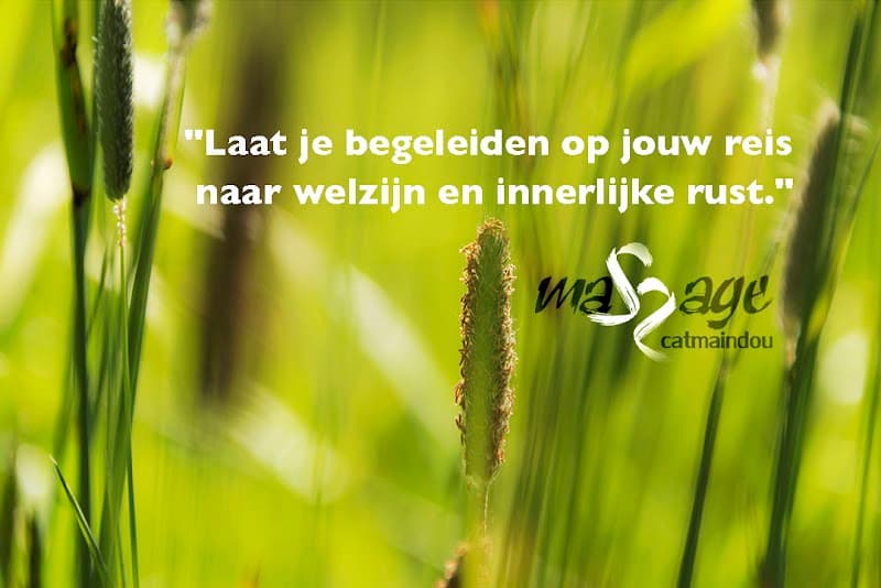 Catmaindou holistisch therapeut/coach Roeselare photo