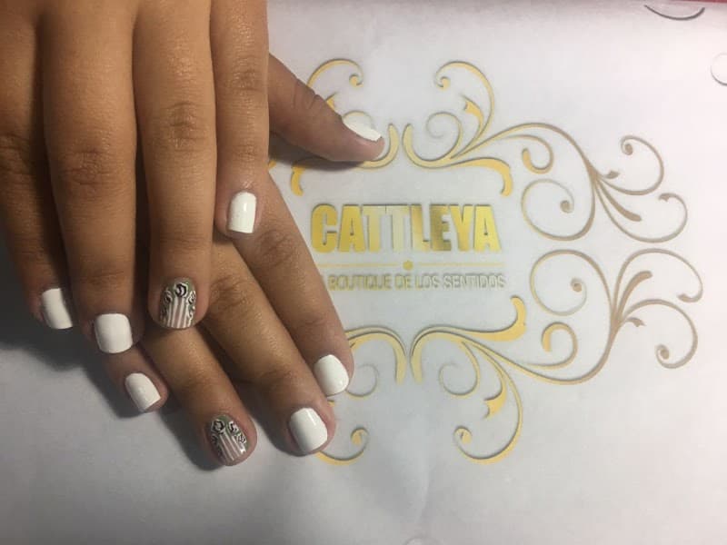 Cattleya Spa Maracay photo