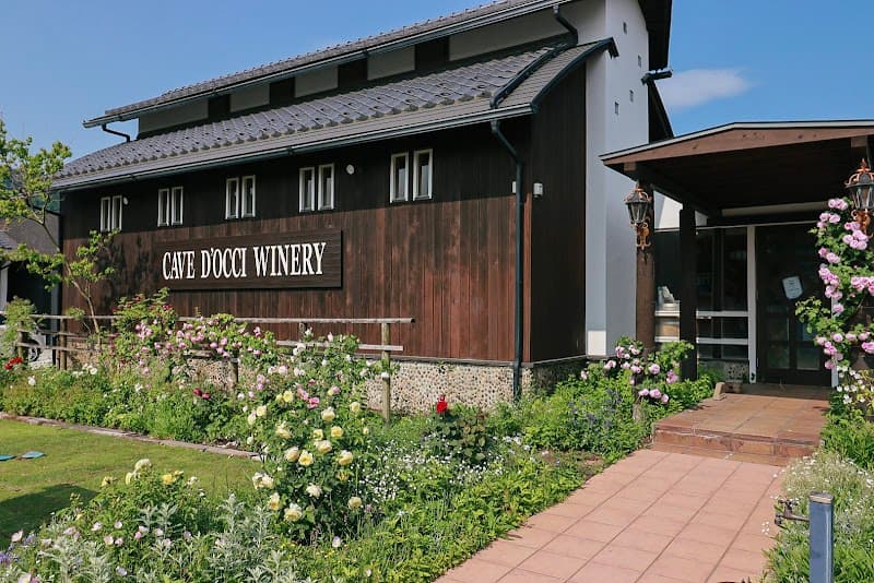 Cavedocchi VINESPA Niigata City photo