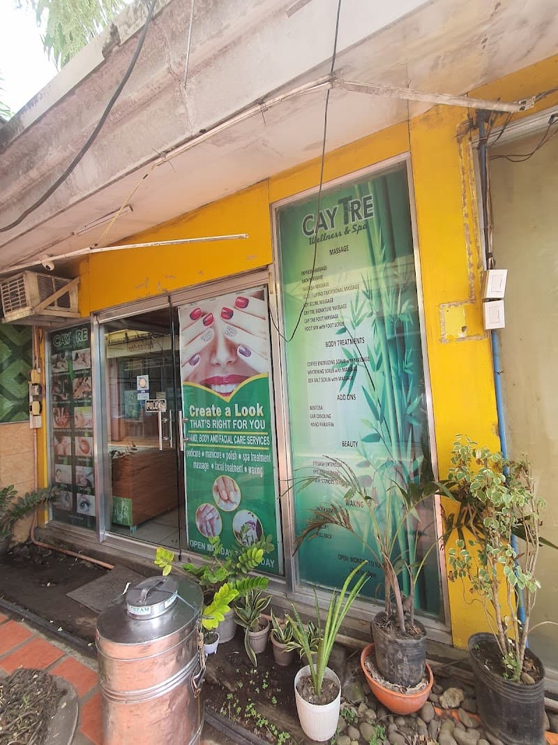 Cay Tre Wellness and Spa Cadiz City photo