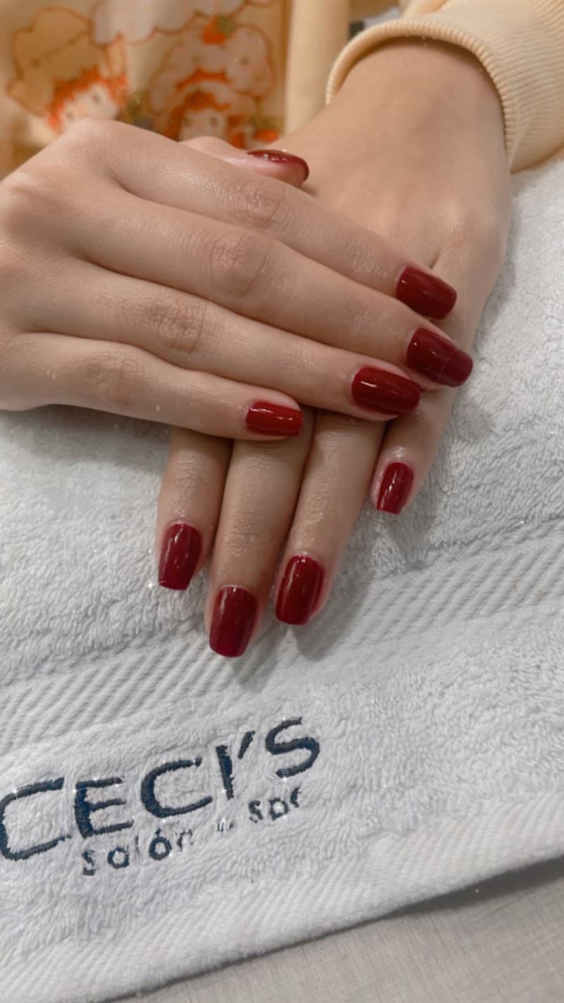 Ceci's Salon Spa La Molina photo