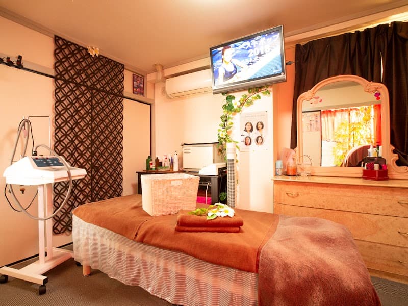 Cellulite Salon ALaiA ~Alaia~ Chiyoda City photo