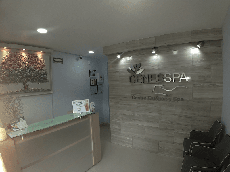 Cenesspa Benito Juárez photo