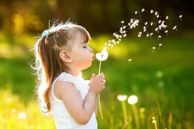 Center of beauty, SPA and fitness OASIS Saint Petersburg photo