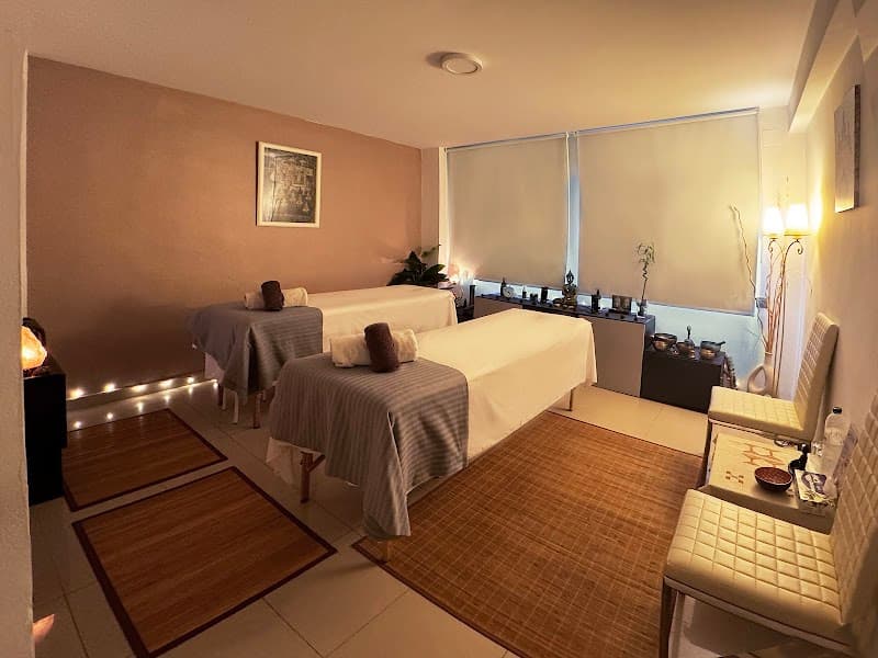 Centre de Formation agrée en Soin-Massage Andorra la Vella photo