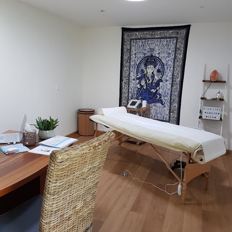 Centre de Luxopuncture Luxo'lution Saint Etienne la Cigogne Plaine-d'Argenson photo