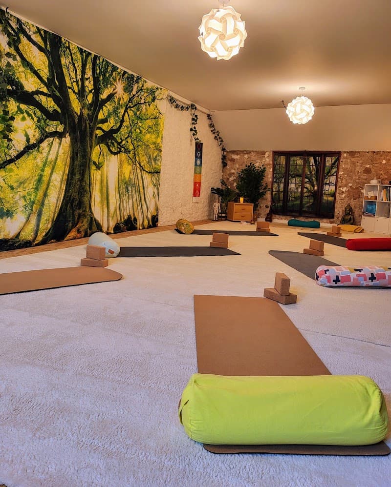 Centre de Yoga & Vitalité à Echavanne Échavanne photo