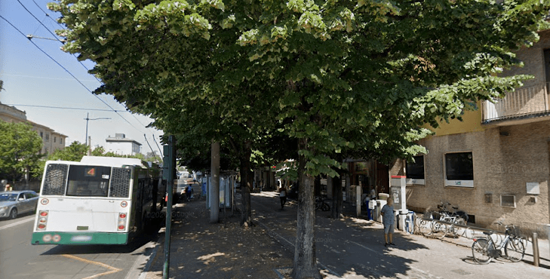 Centro Basta Pidocchi Parma photo