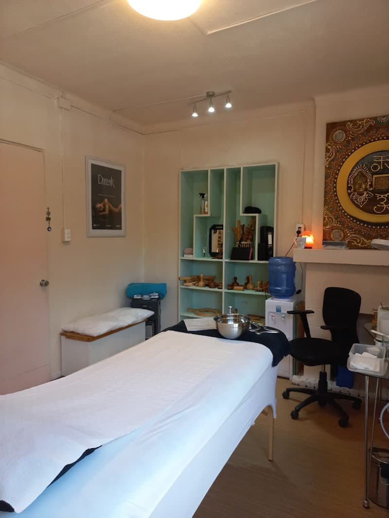 Centro de Bienestar y Estetica Dijuliet Quinta Normal photo